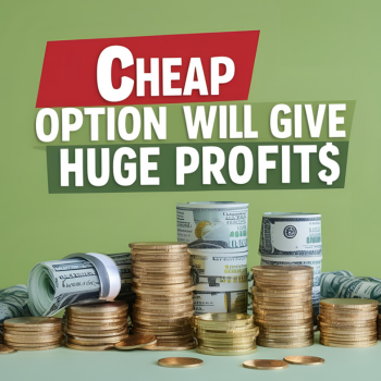 SBI का सस्ता ऑप्शन देगा मोटा मुनाफा!